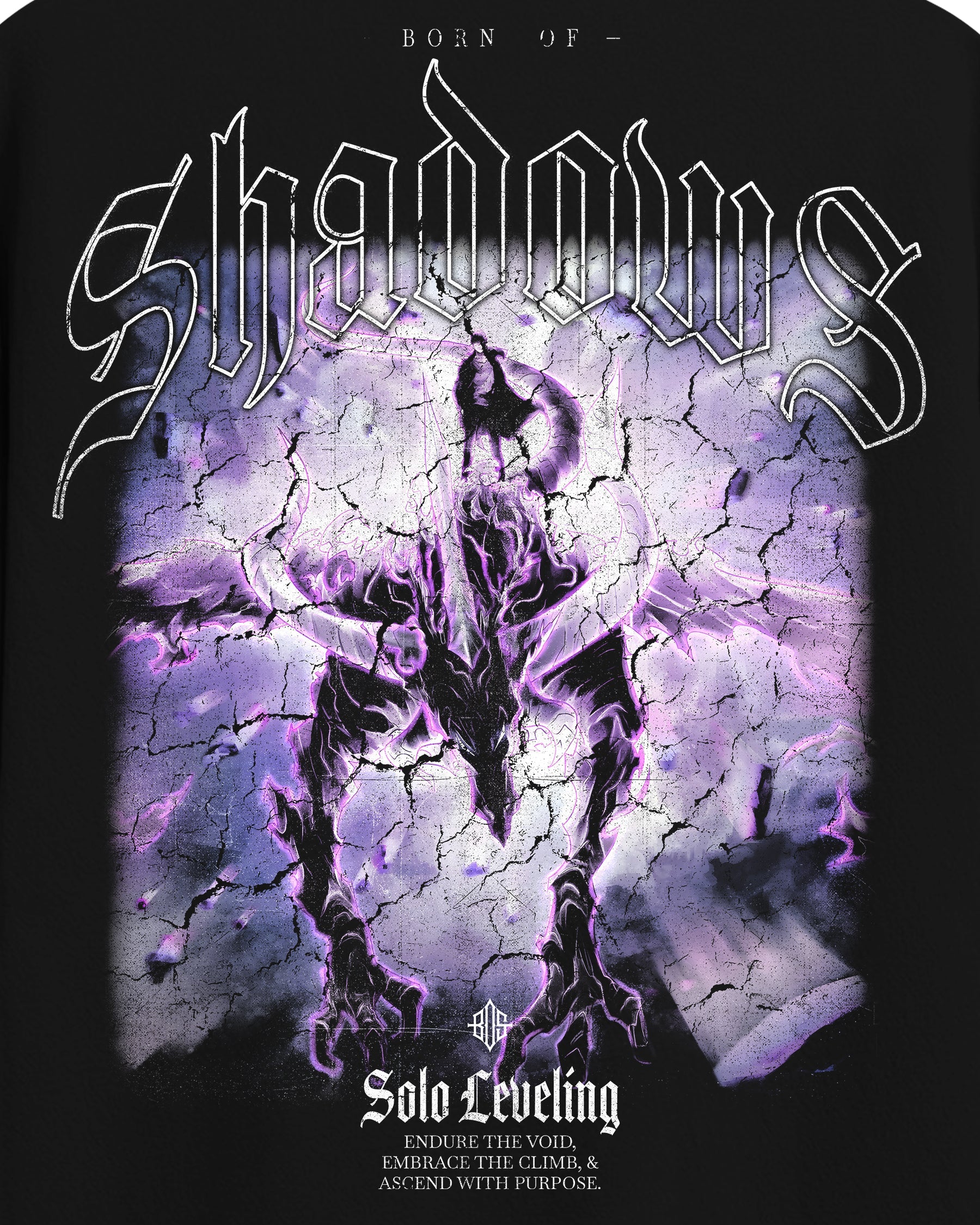 Solo Leveling 'Kaisel' T-Shirt